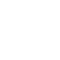 icon-bussiness