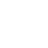 icon-bussiness